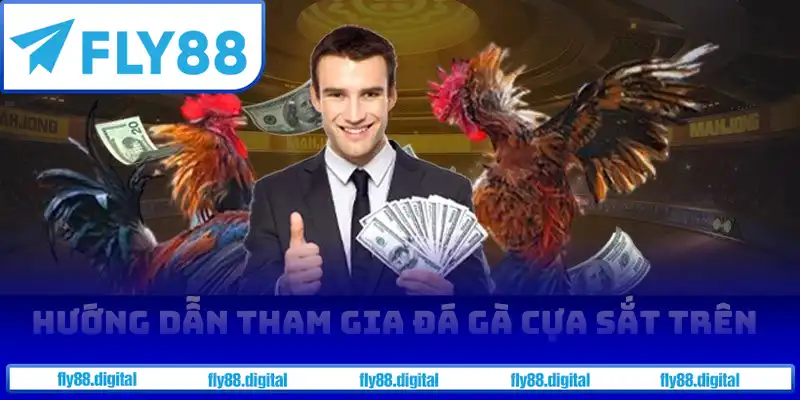 Hướng dẫn tham gia đá gà cựa sắt trên Fly88 Hướng dẫn tham gia đá gà cựa sắt trên Fly88